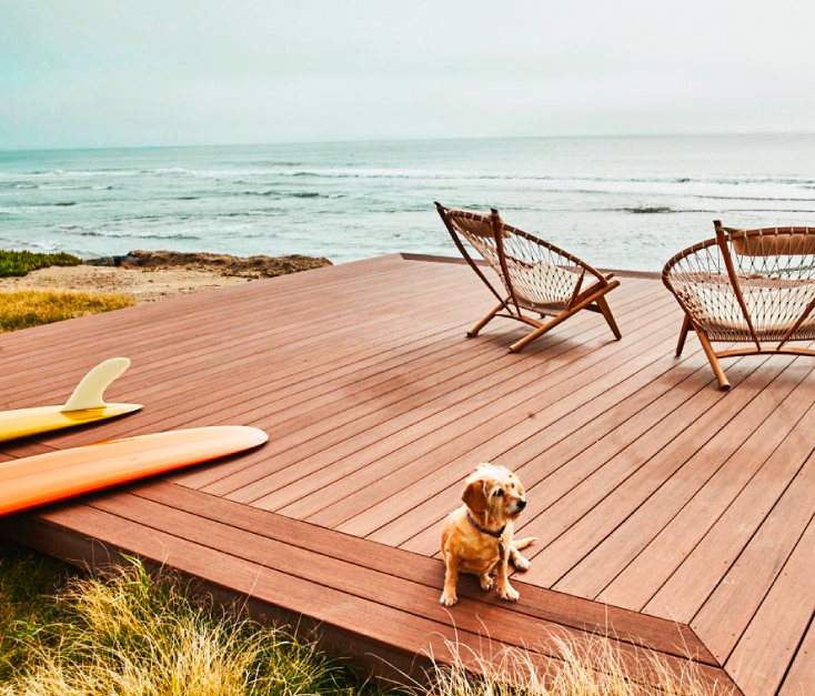 Hardscapes design and installation beach front deck with a puppy