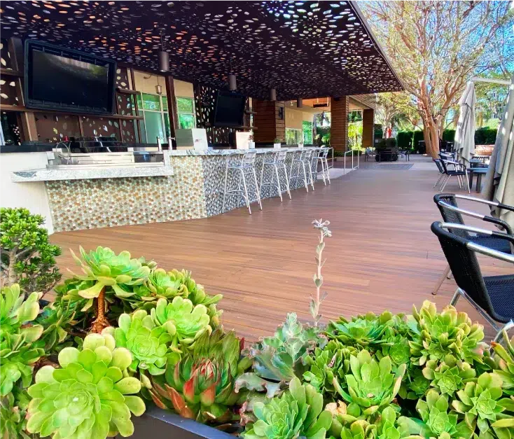 Outdoor bar with hardwood deck for hotels and restaurants decorated with succulents