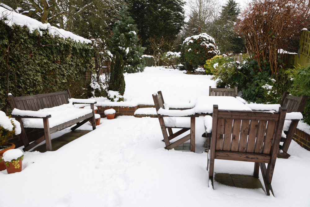 How To Prepare Your Backyard For Fall And Winter