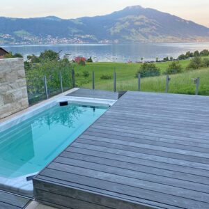 Hardwood deck with modern design