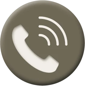 Phone Icon